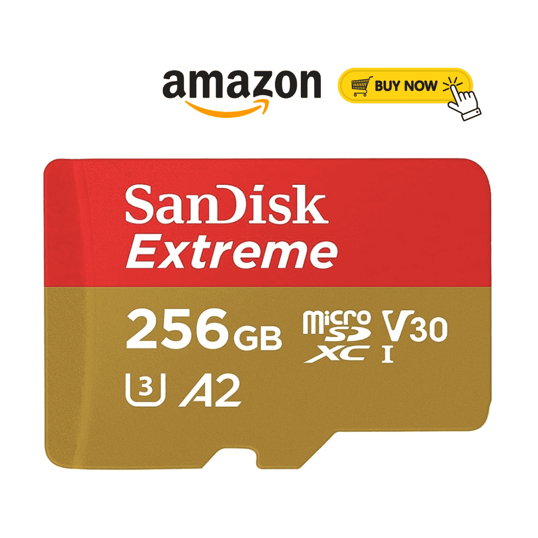 SanDisk Extreme 256GB