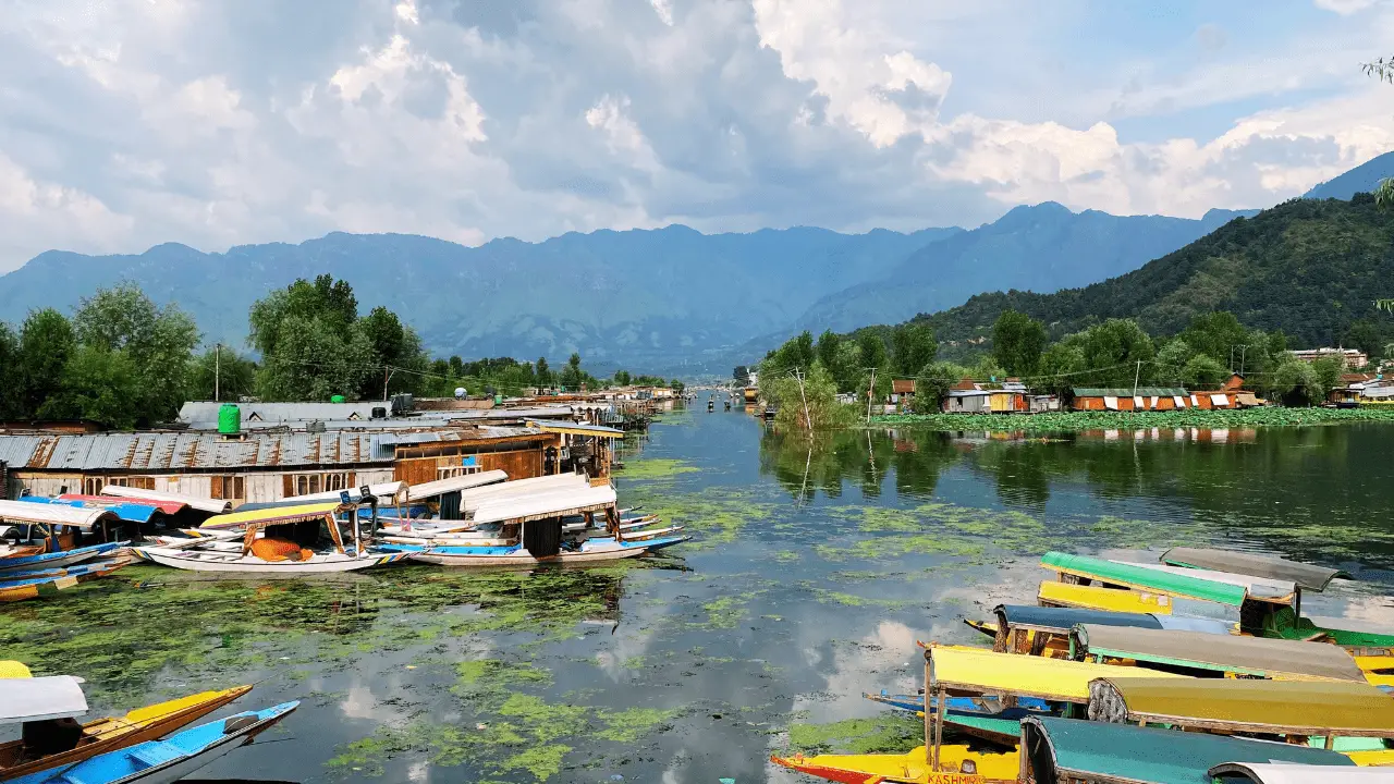 srinagar